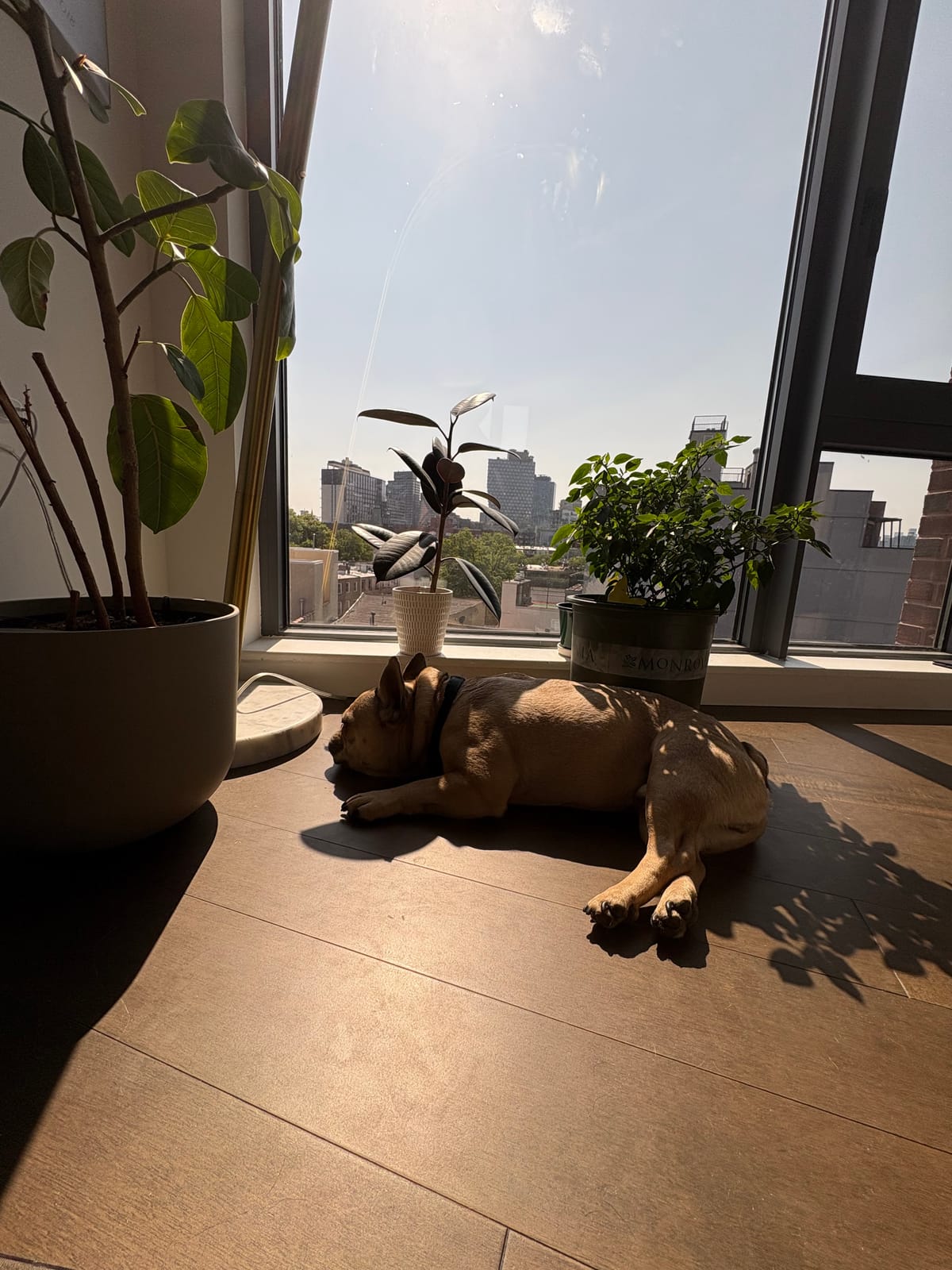 Goblin, The Mayor of Brooklyn